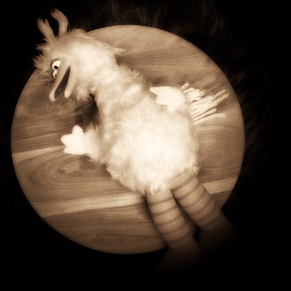 BigBirdDoll